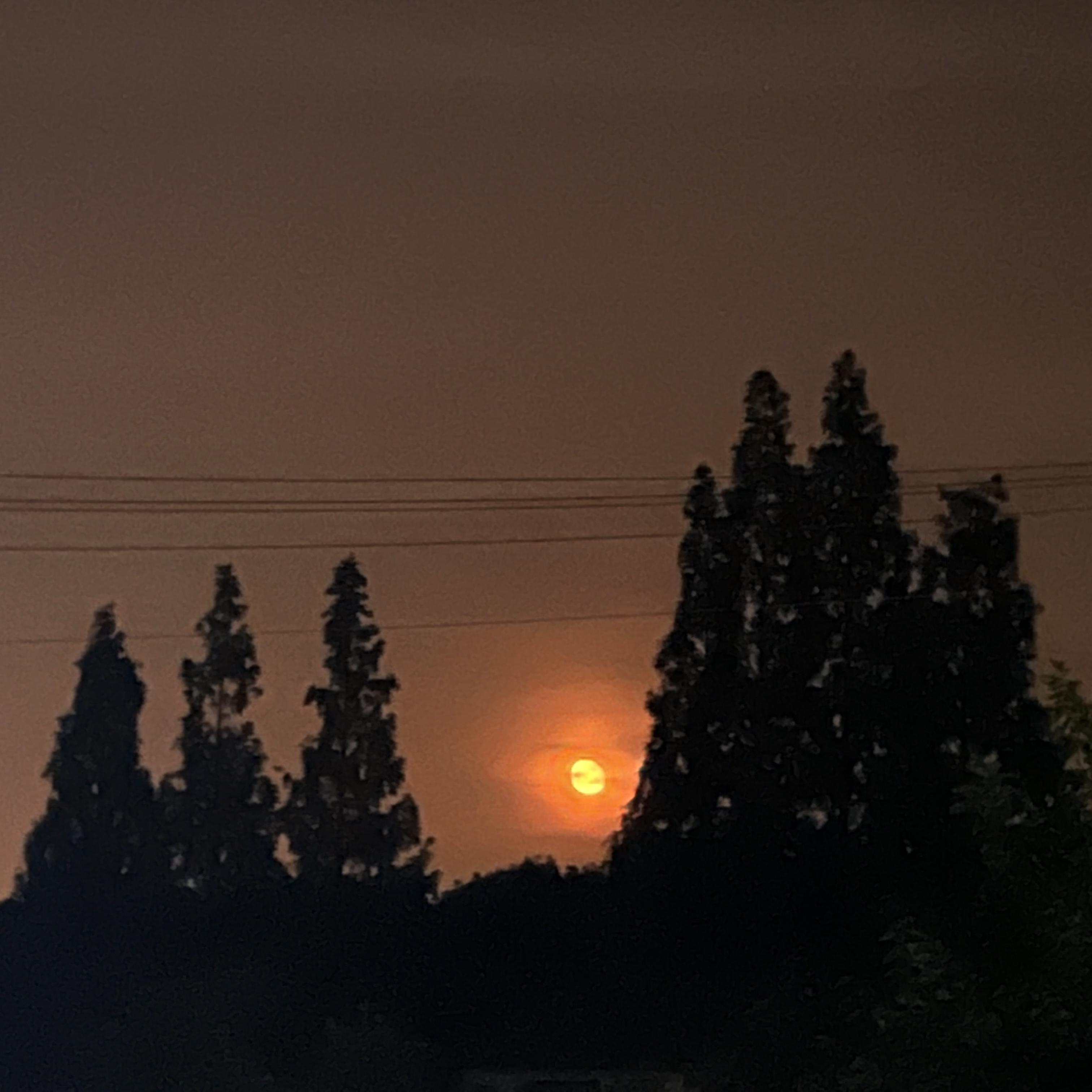 Why Would I Ever 小黄人版（翻自 Paula DeAnda）