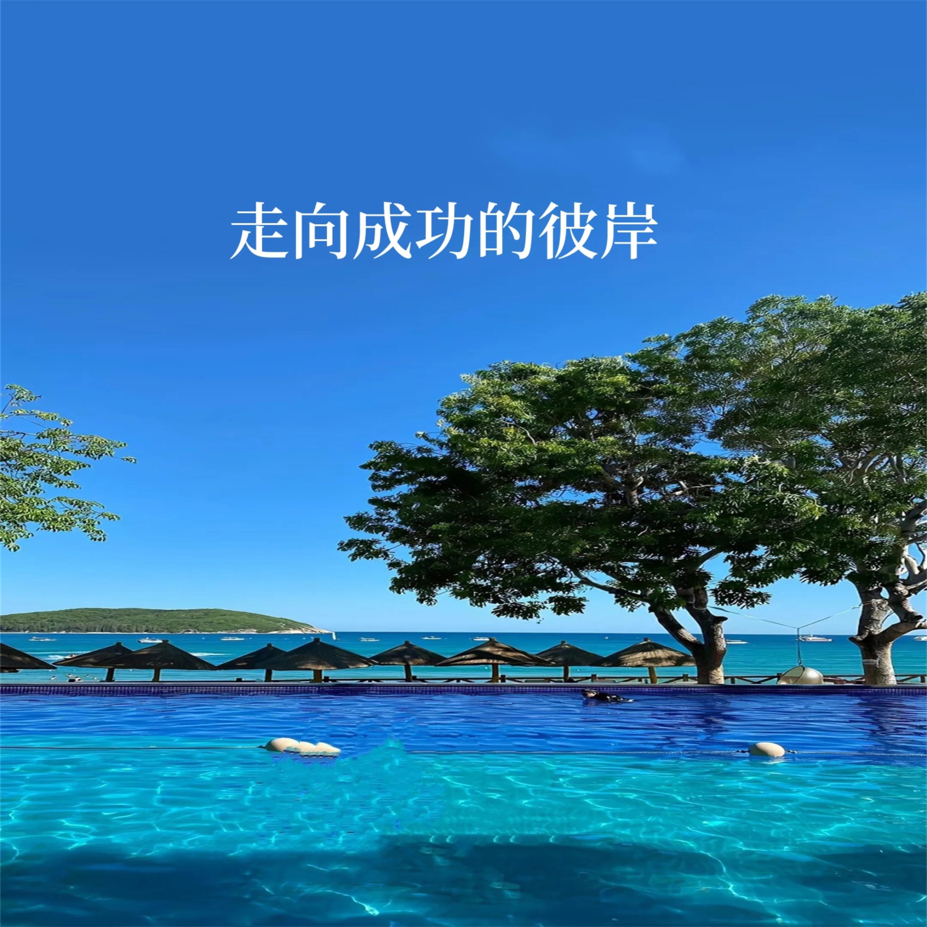 走向成功的彼岸