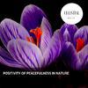 Nature Energy Powerful Music - Nasty Insects