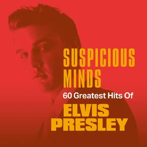 Elvis Presley - Suspicious Minds (VS karaoke) 带和声伴奏 （升5半音）