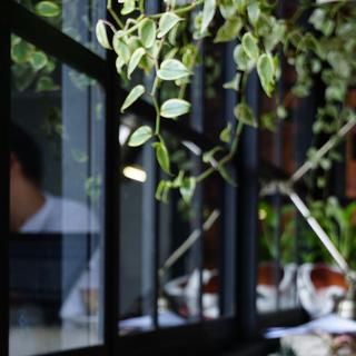 纯音｜静心｜空灵｜学习｜沉思