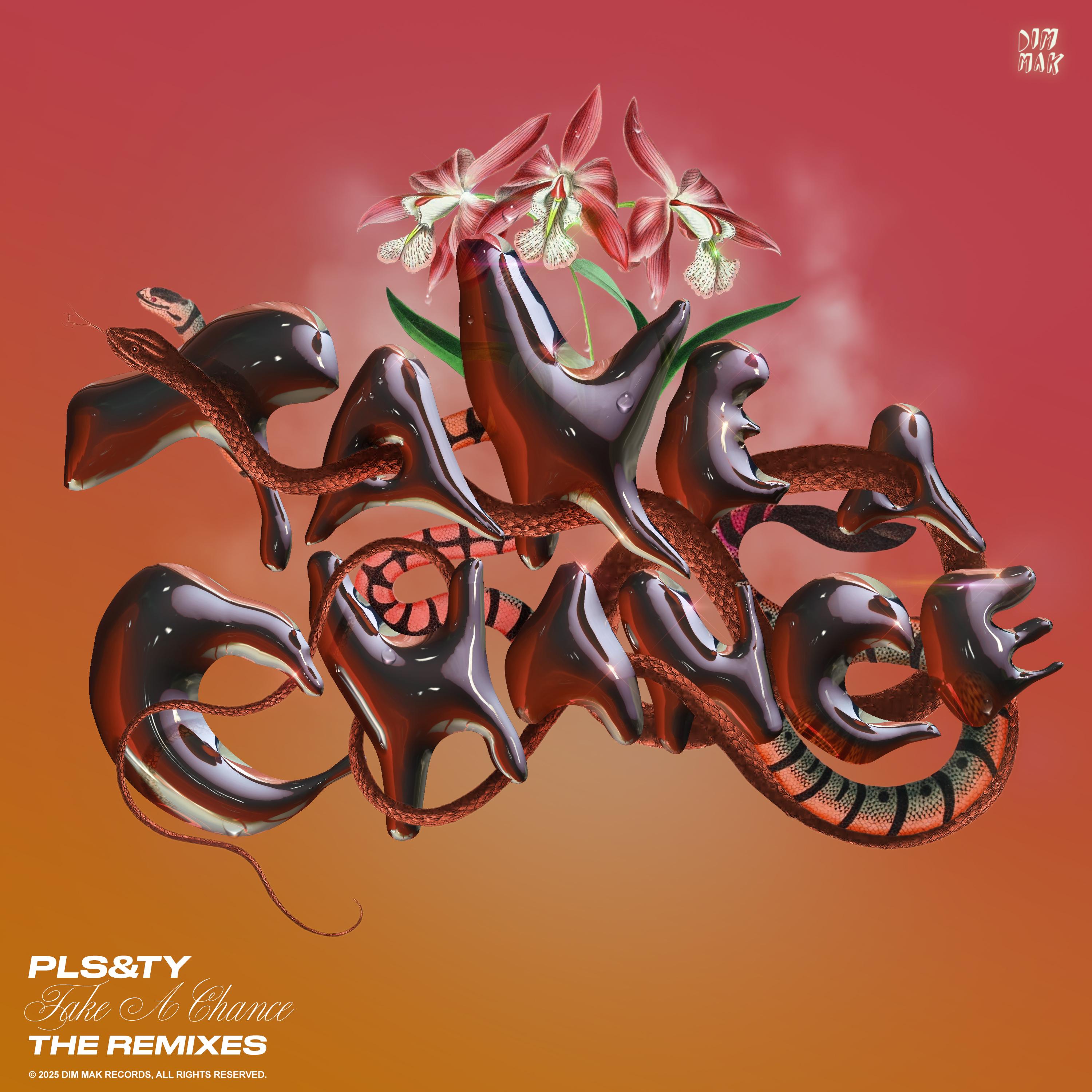 Take A Chance (Remixes) EP