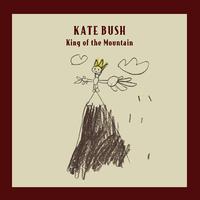 Kate Bush - King Of The Mountain (karaoke)