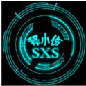 SXS风格专辑