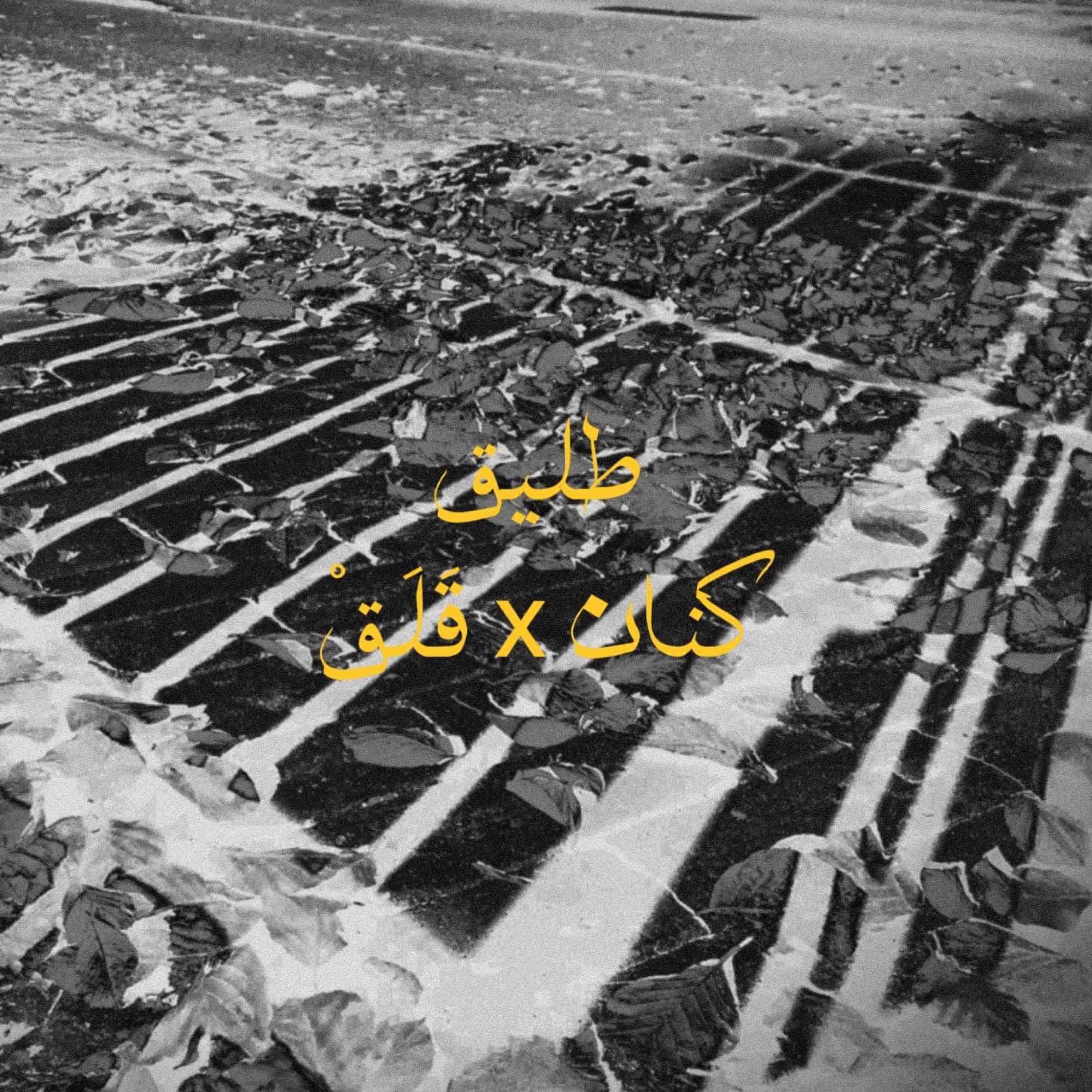 طليق