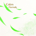Nomak (Calm Bonus Disc)专辑