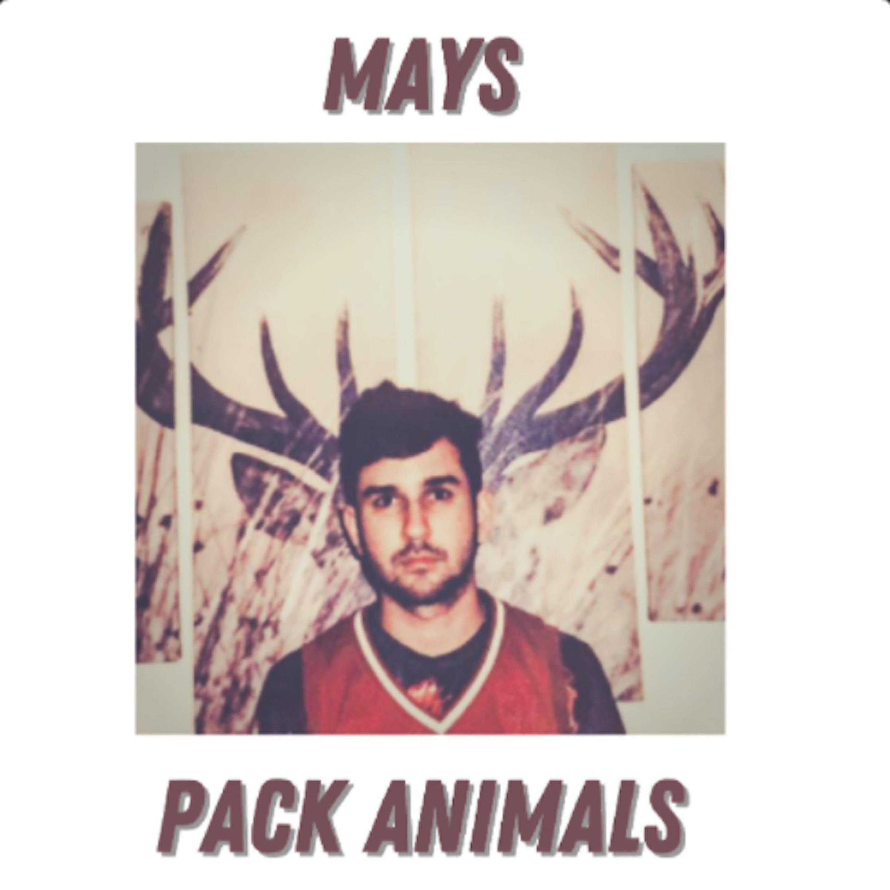 Pack Animals