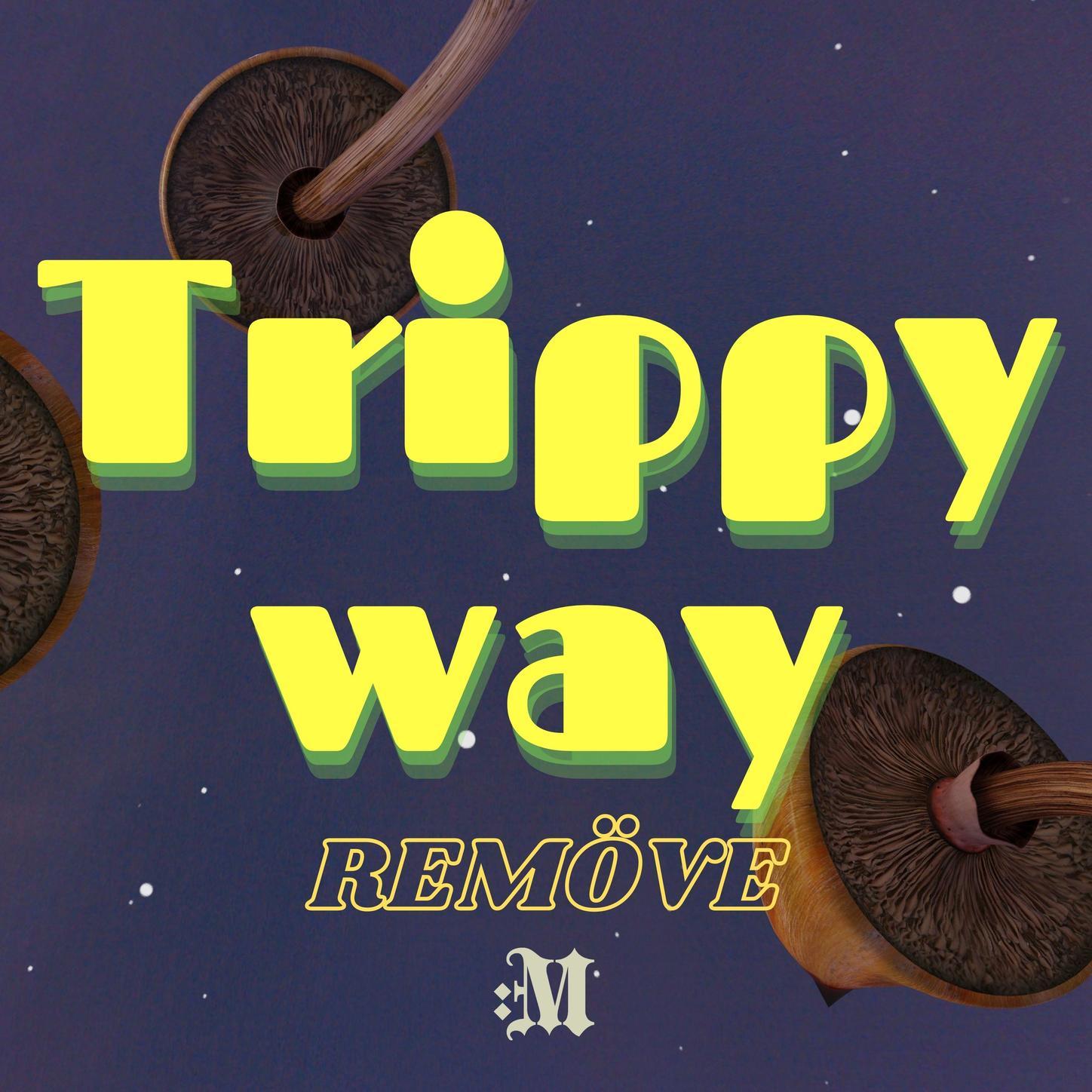 Trippy way