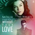 Without Your Love (Remixes)