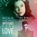 Without Your Love (Remixes)专辑