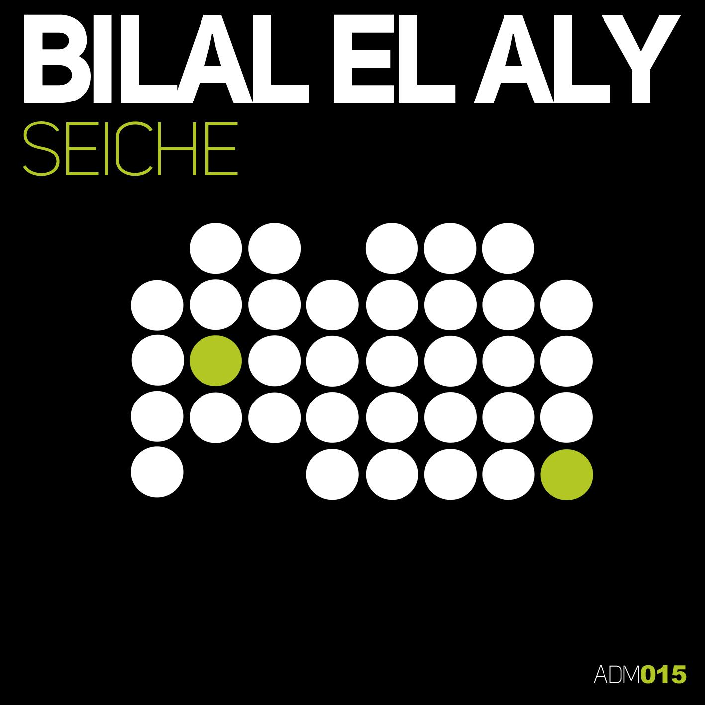 Seiche