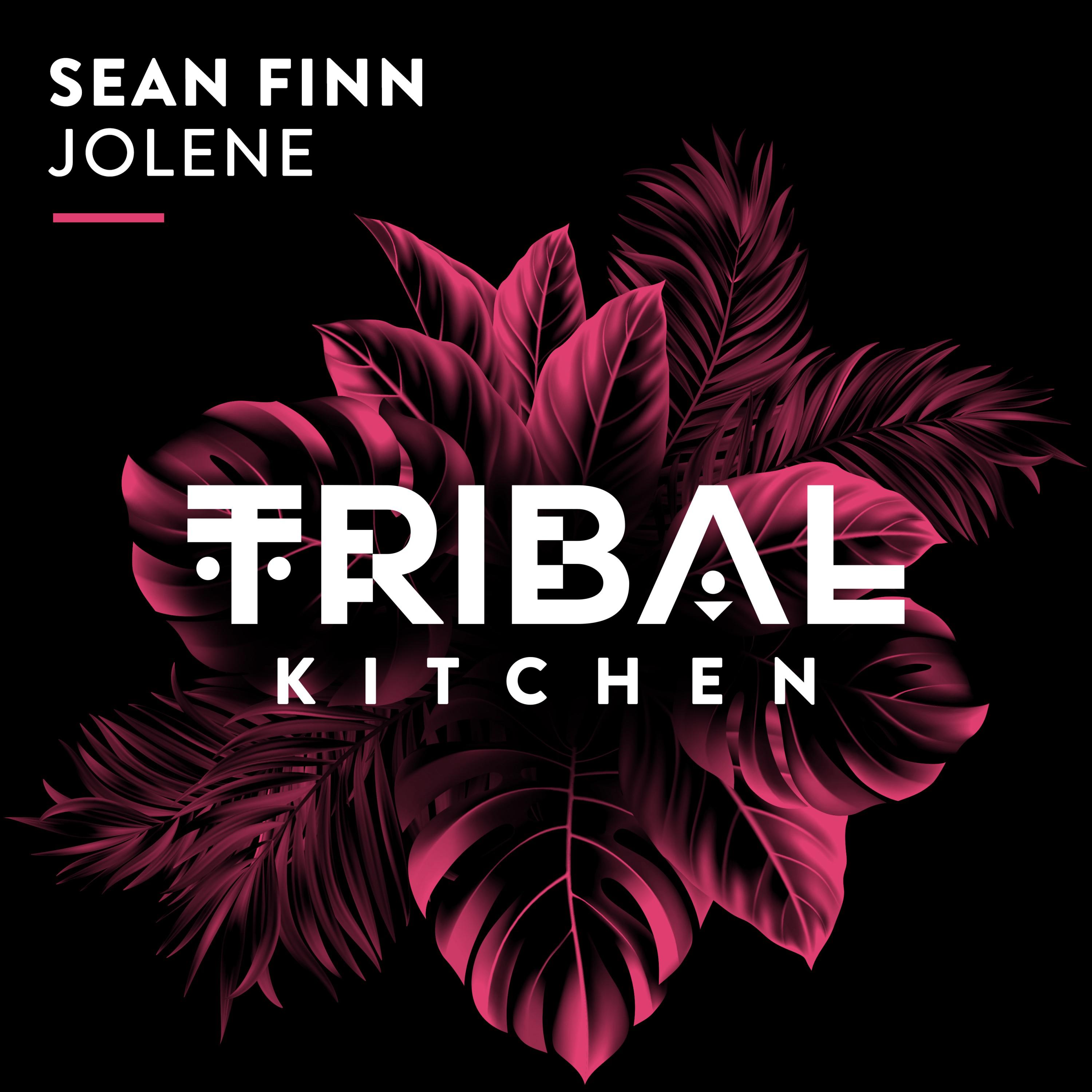 Sean Finn - Jolene (Extended Mix)