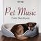 Pet Music - Calm Zen Music for Dogs and Kittens专辑