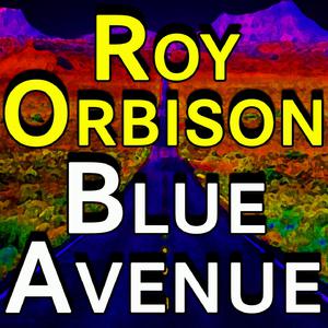 Summer Song - Roy Orbison (PT karaoke) 带和声伴奏