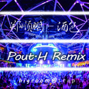 郑顺鹏 - 酒色（DJPout.小辉 Bigroom Remix）