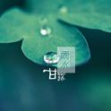 雨水专辑