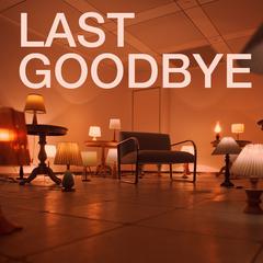 Last Goodbye