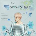 Spring Day(봄날)防弹少年团专辑