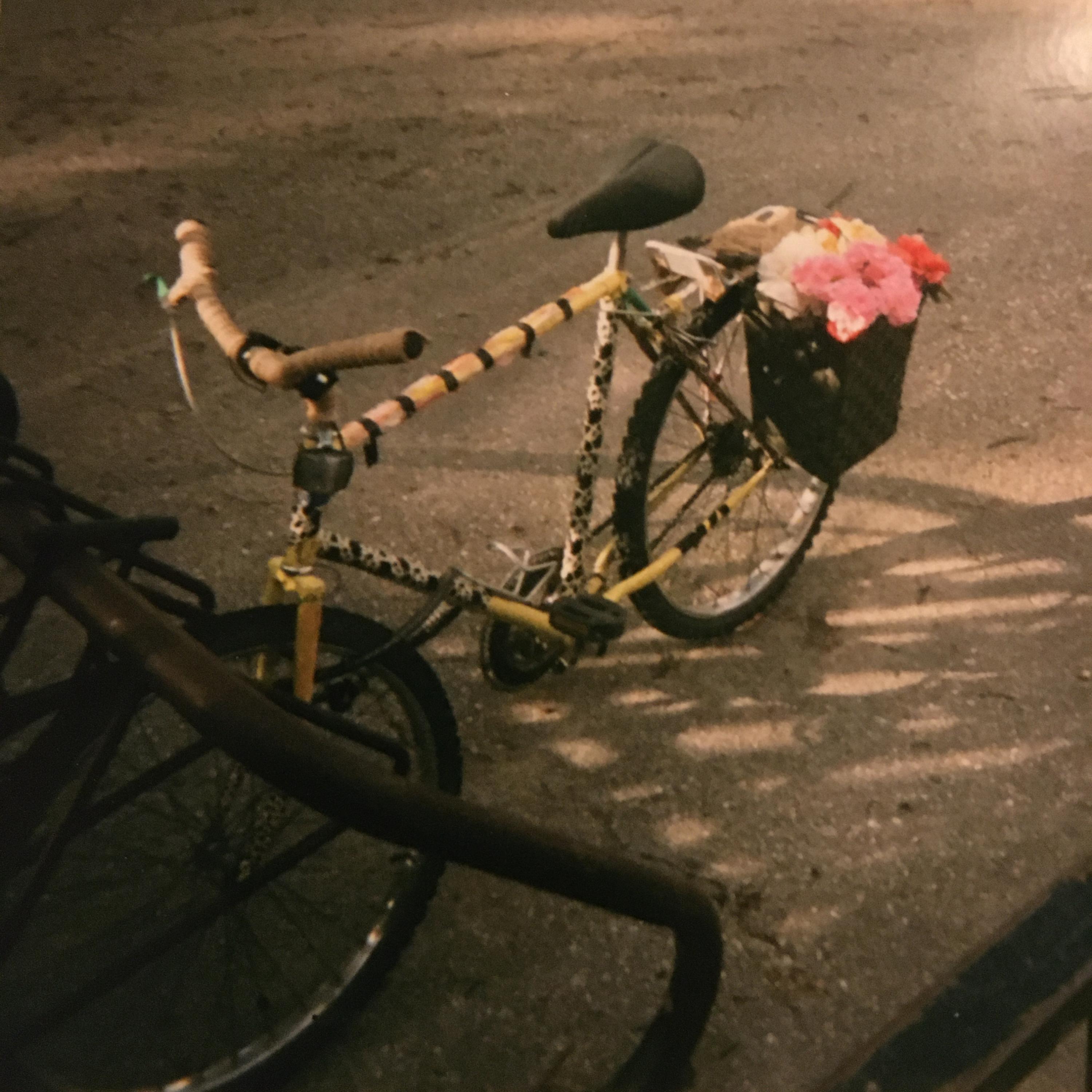bike