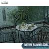 Misty Rain Sound Project - Charming Light Freezing Rain