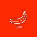 Trial