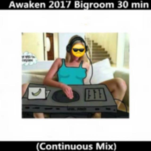 Awaken 2017 Bigroom 30 min (Continuous Mix)专辑