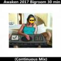 Awaken 2017 Bigroom 30 min (Continuous Mix)