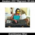 Awaken 2017 Bigroom 30 min (Continuous Mix)专辑