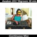 Awaken 2017 Bigroom 30 min (Continuous Mix)专辑