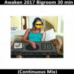 Awaken 2017 Bigroom 30 min (Continuous Mix)专辑