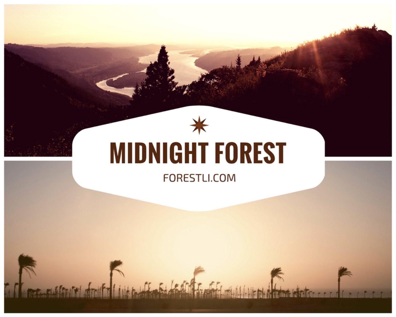 Midnight Forest专辑