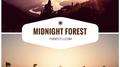 Midnight Forest专辑