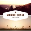 Midnight Forest专辑