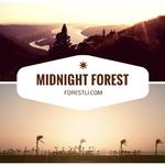 Midnight Forest专辑