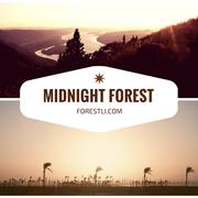 Midnight Forest