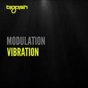 Vibration专辑