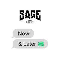 Now and Later - Sage The Gemini (unofficial Instrumental) 无和声伴奏