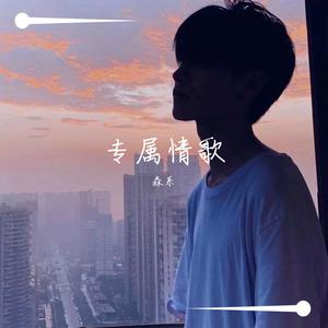 庞龙 - 乡情