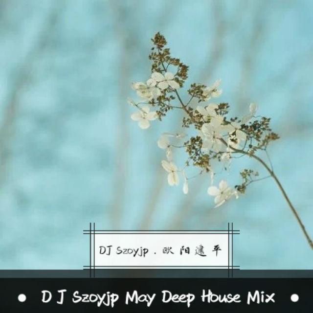 DJSzoyjp May Deep House Mix专辑