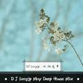 DJSzoyjp May Deep House Mix