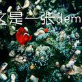 这是一张demo