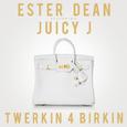 Twerkin 4 Birkin