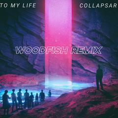 To my life（woodfish remix）