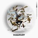 Imaginary