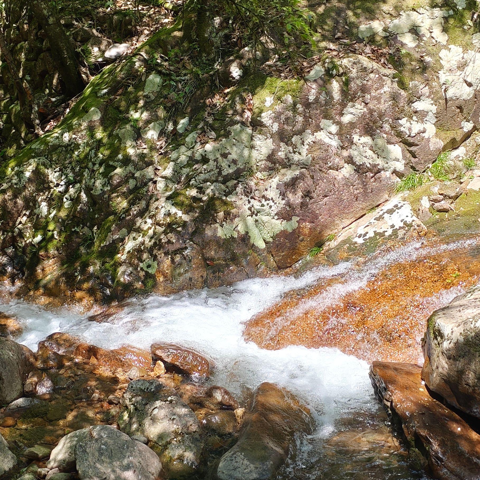 九歌·山鬼（上古汉语拟音）（winky诗版翻唱）