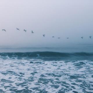 闽南语精选 | 老厝新声 依旧田路草仔花