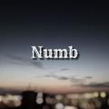 Numb(Cover）