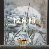 隔壁老樊-一个歌手的情书(蒙面唱将猜猜猜第五季) 伴奏