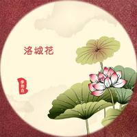 洛城花 (1) 伴奏