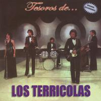 Los Terricolas - Porque Me Has Traicionado (karaoke)
